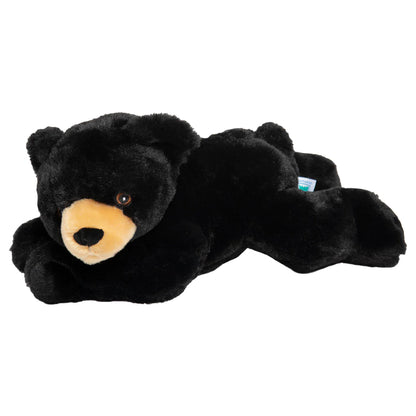 Paws the Black Bear