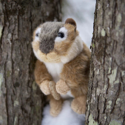 Chester the Chipmunk