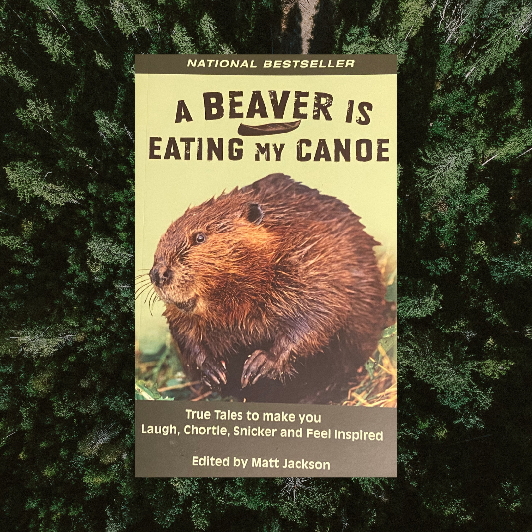 A Beaver is Eating My Canoe - Book by Matt Jackson