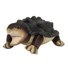 Sheldon the Snapping Turtle