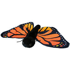 Meadow the Monarch Butterfly