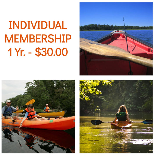 Individual Membership (1 Year)