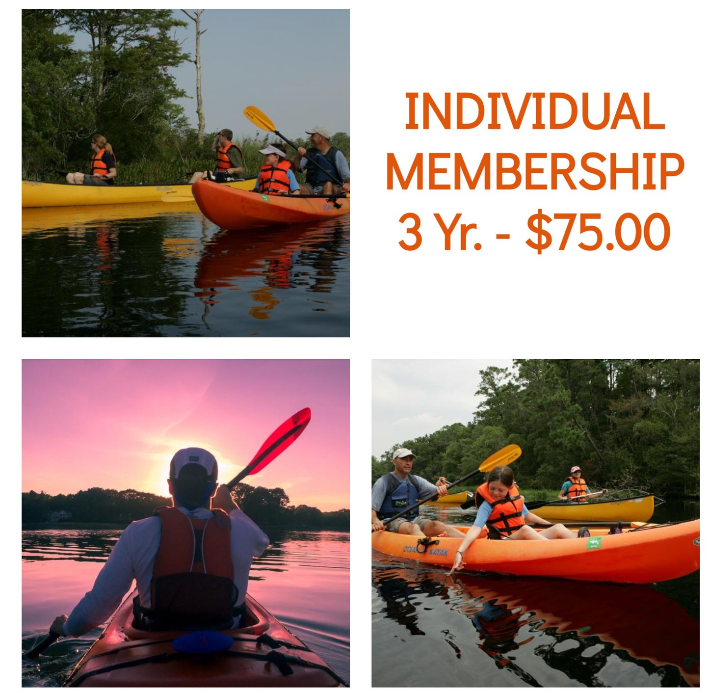 Individual Membership (3 Years)